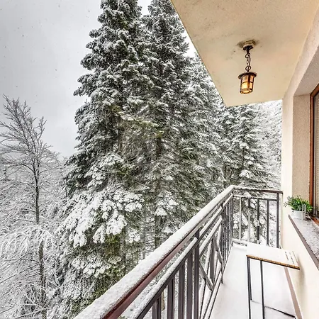 Apartament 1bd Mountain Getaway In With Parking By Flat Mаnager *