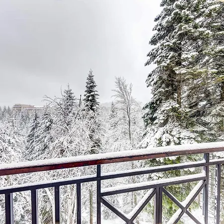 Apartament 1bd Mountain Getaway In With Parking By Flat Mаnager