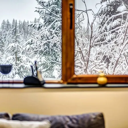 1bd Mountain Getaway In With Parking By Flat Mаnager Pamporowo